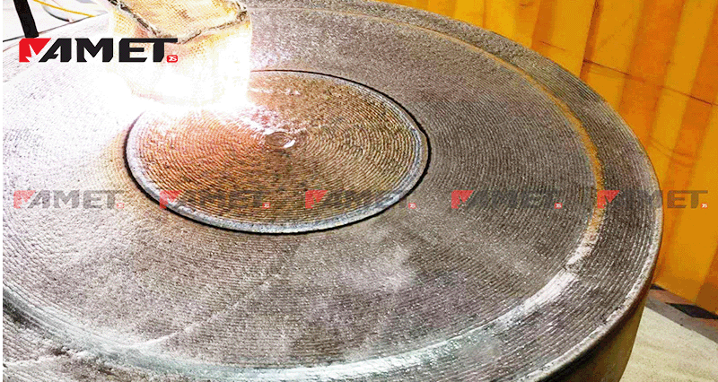 自研尿素极不锈钢310LMod金属粉芯